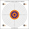 Air Gun Target 10m card 14cm 100